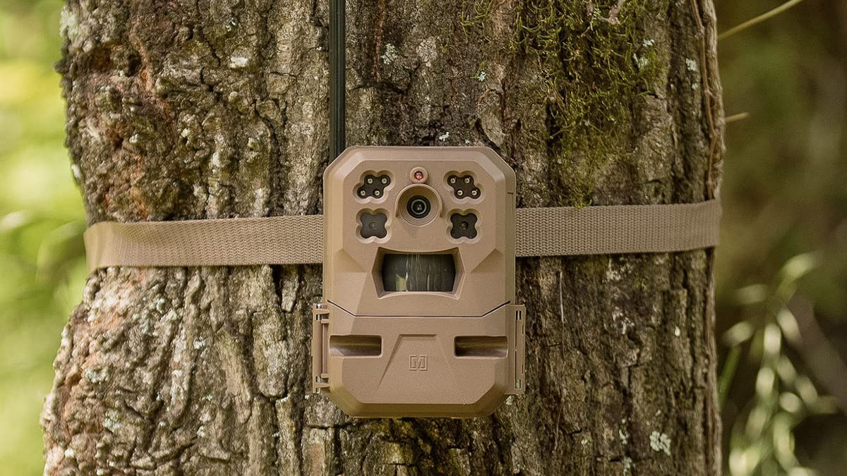 Moultrie Mobile Edge trail camera