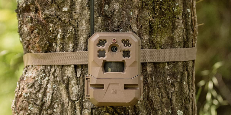 Our Favorite Trail Cam Is On Sale For Its Lowest Price Ever Right Now