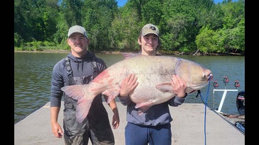 Oklahoma Angler Inadvertently Snags 110-Pound World Record Size Bighead Carp