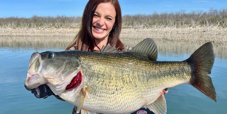 This Enormous Texas Largemouth was Just Certified as a New World Record