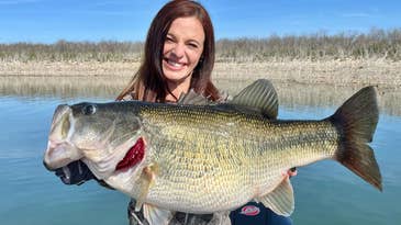 This Enormous Texas Largemouth was Just Certified as a New World Record