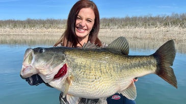 This Enormous Texas Largemouth is a Pending Line-Class World Record
