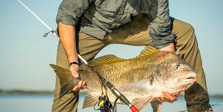The Best Inshore Spinning Rods of 2024
