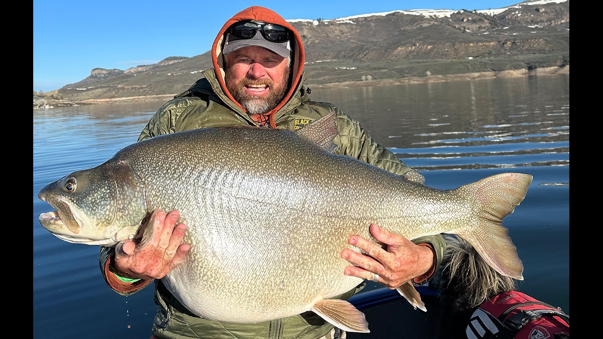 angler holds giant world record lake trout