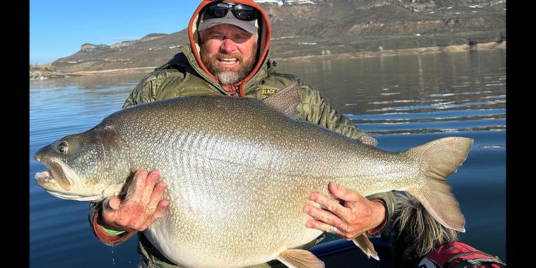 Colorado Man Catches Likely World Record 73.29-Pound Lake Trout