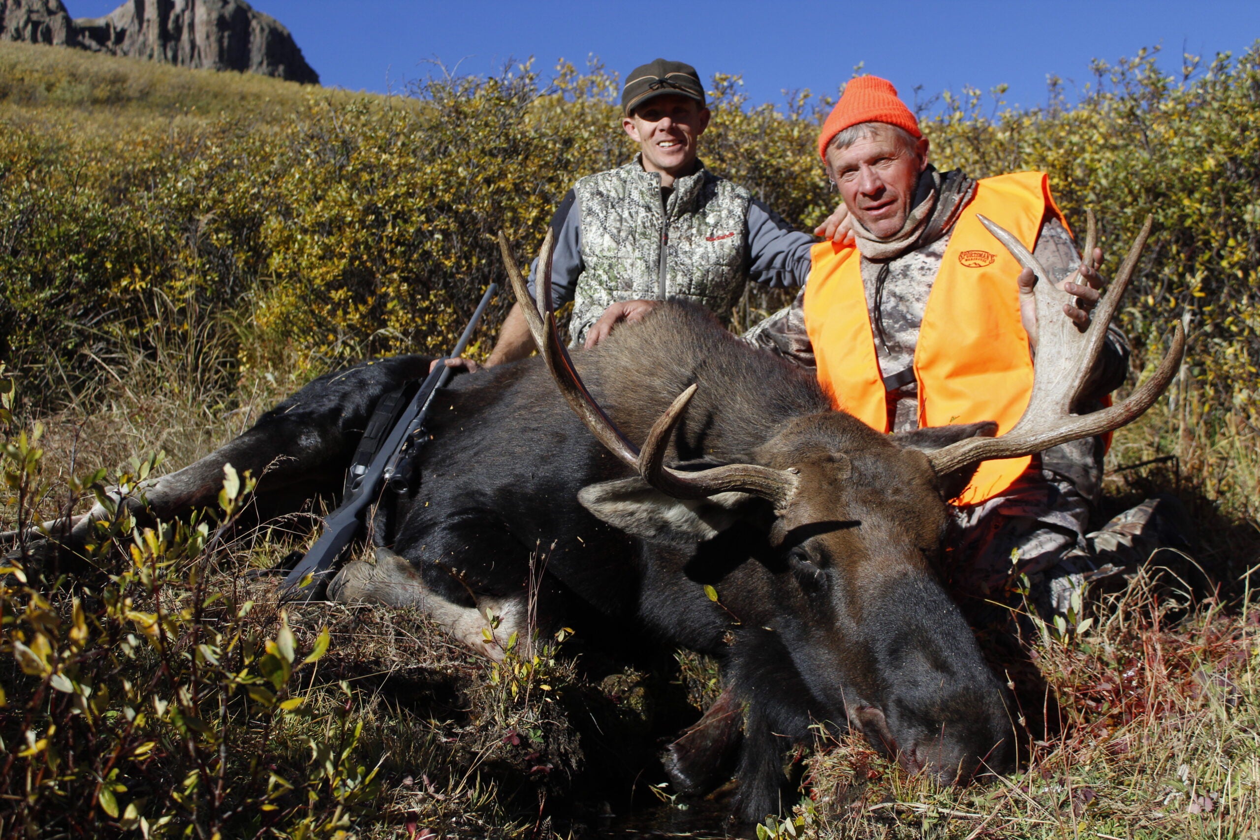 Two hunters with a shiras moose