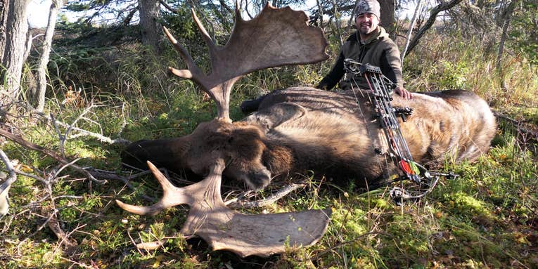 Moose Hunting 101