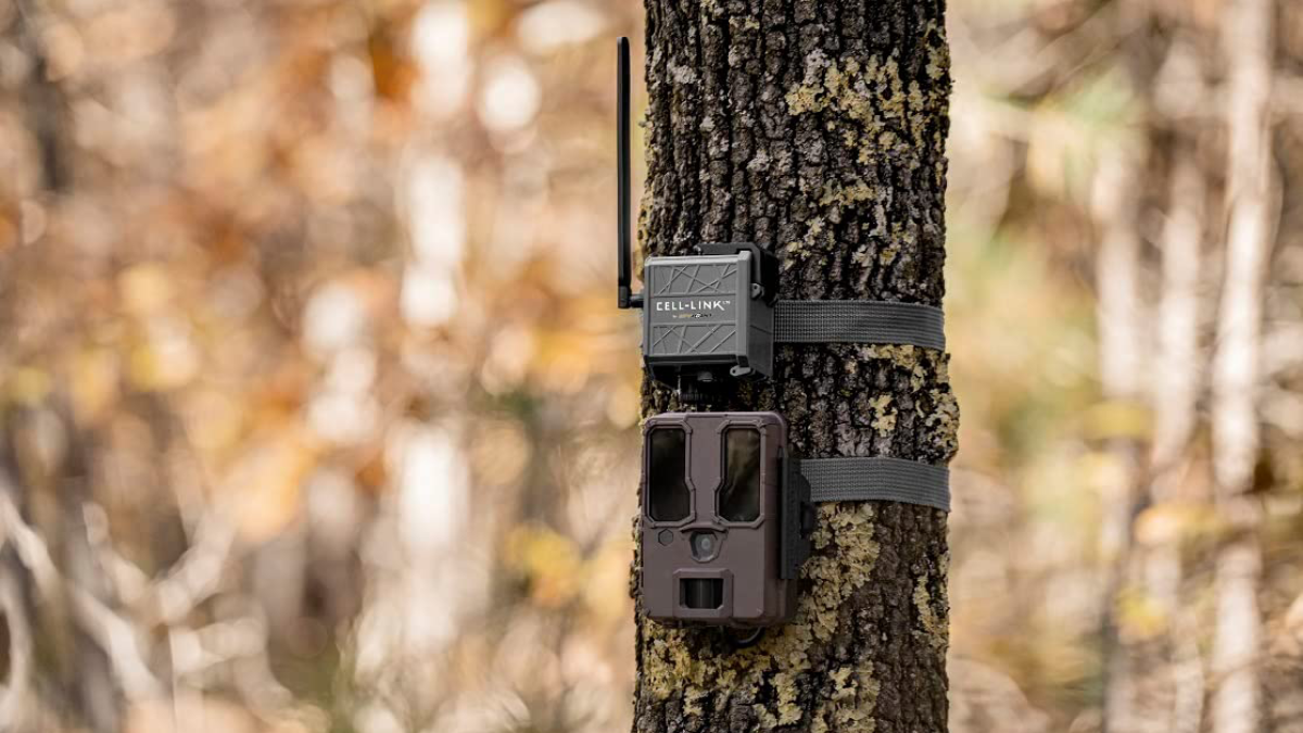 SpyPoint CELL LINK Trail Camera Adapter on a tree in the woods