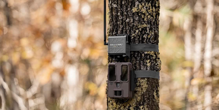 This Adapter Turns Any Trail Cam Into a Cellular Trail Camera—And It’s Only $27 Right Now