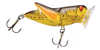 photo of popper lure