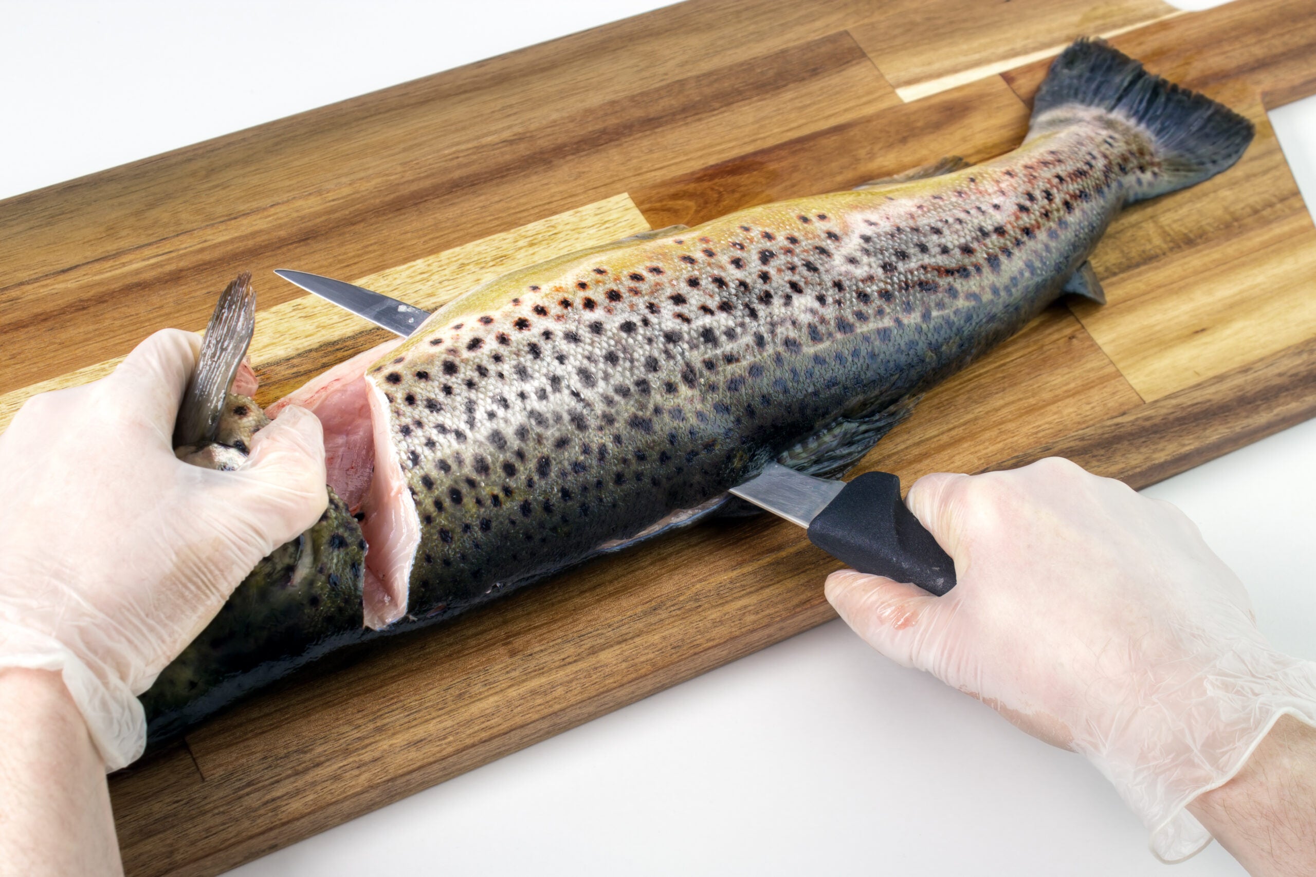 photo of how to clean a trout by filleting