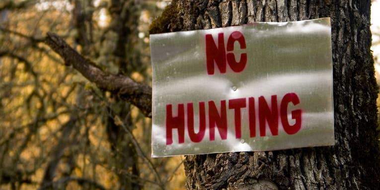 South Carolina to Legalize Sunday Hunting on Select Public Lands