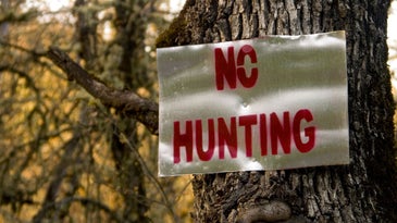 South Carolina to Legalize Sunday Hunting on Select Public Lands
