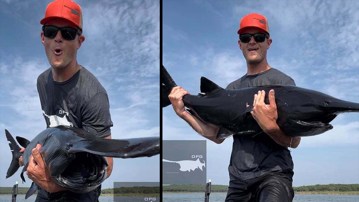 man holds black paddlefish