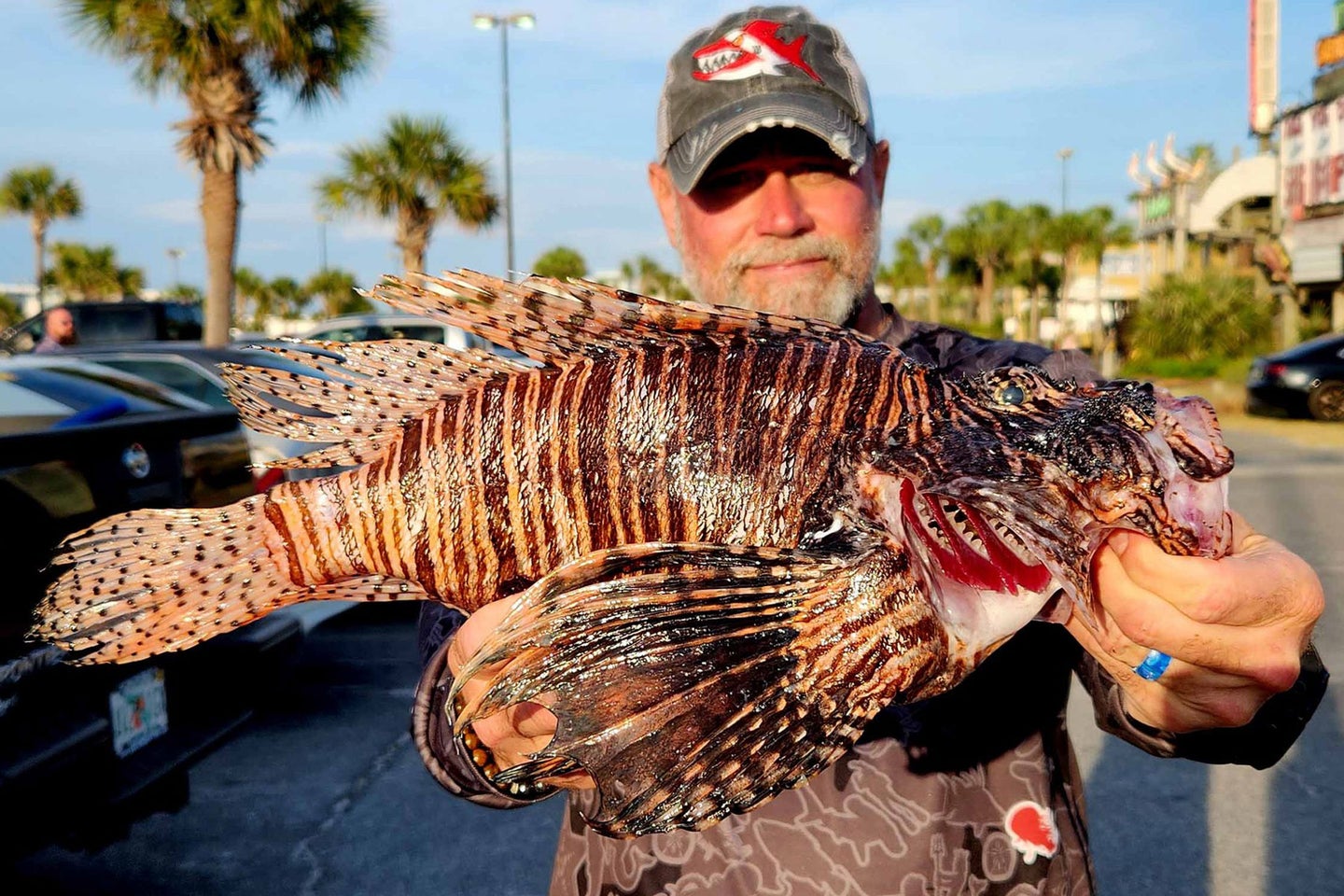 A lionfish caught during a tournament in Florida.