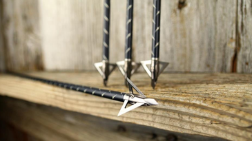 Pro Hunters Swear By These Razor-Sharp Broadheads—And They’re 30% Off Right Now