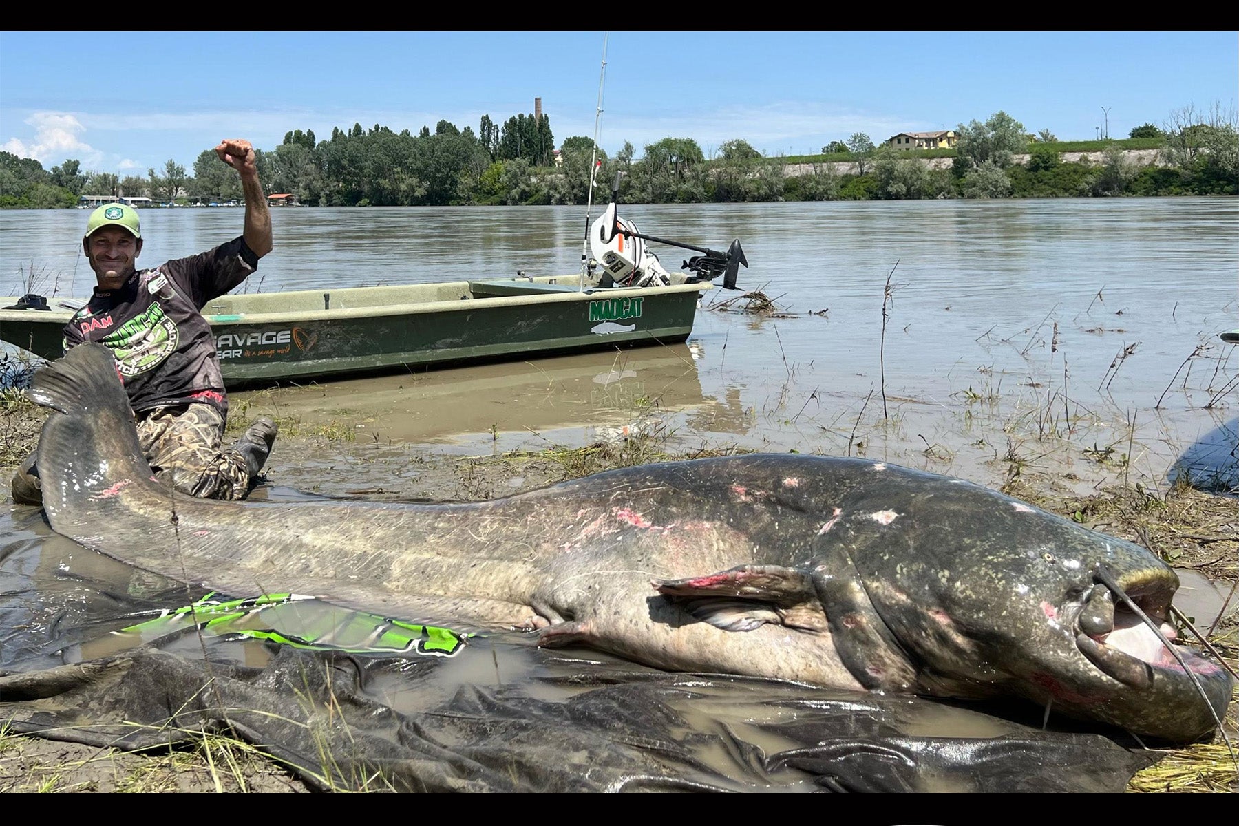 Italian Angler Catches Massive 9-Foot Catfish