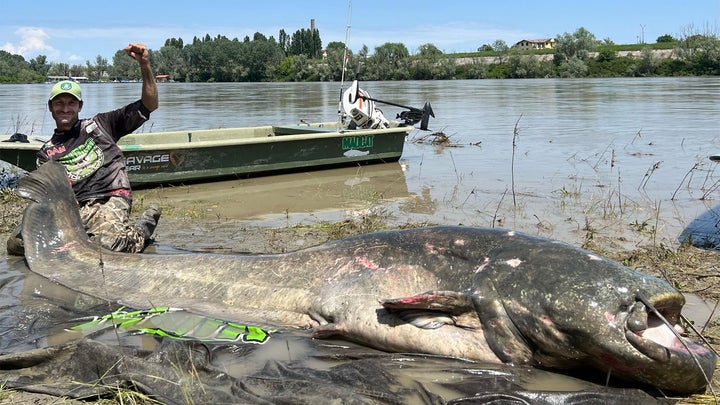 Italian Angler’s Incredible 9-Foot Wels Catfish Could Set a New IGFA World Record