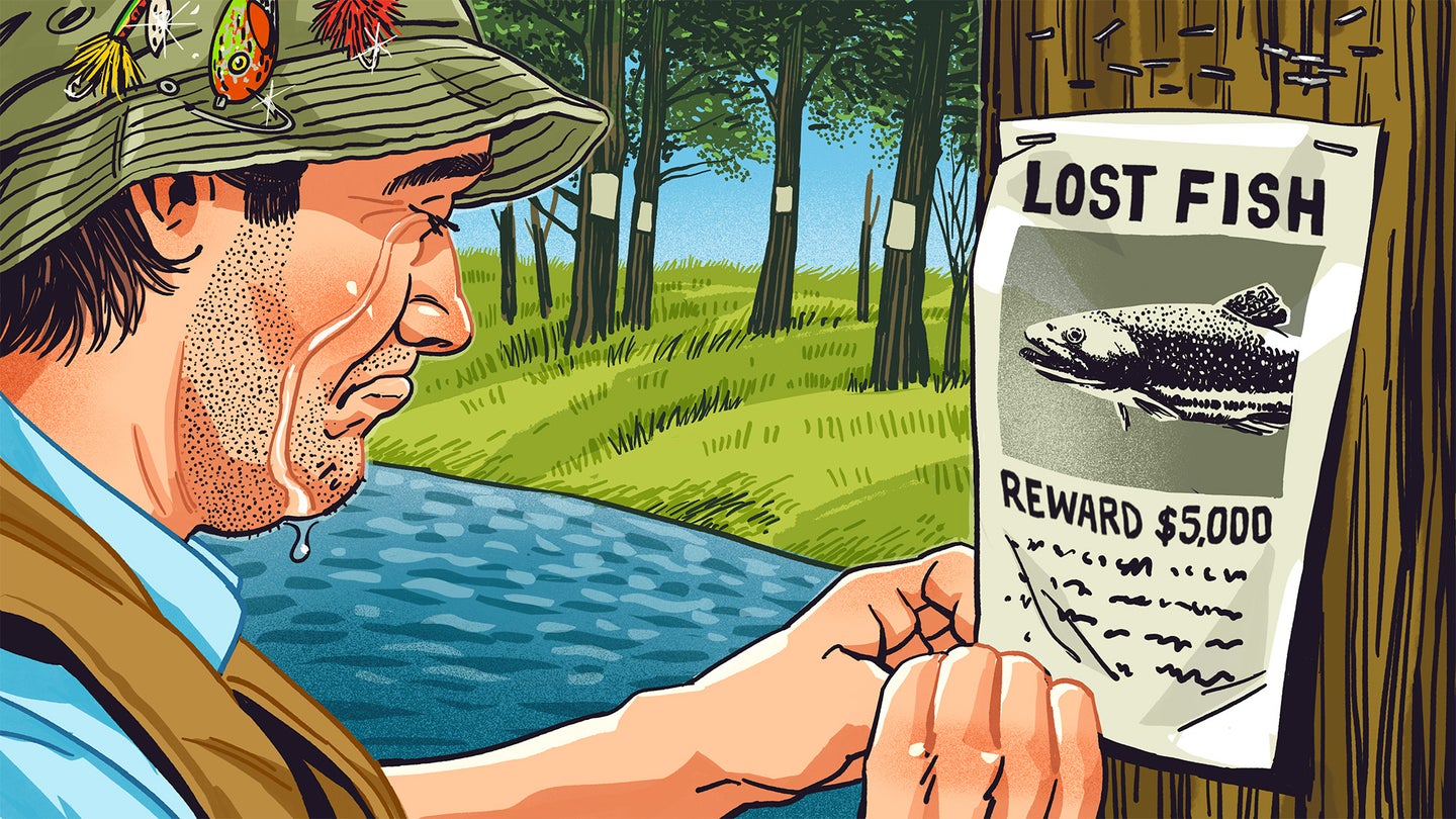 illustration of fisherman looking for lost fish