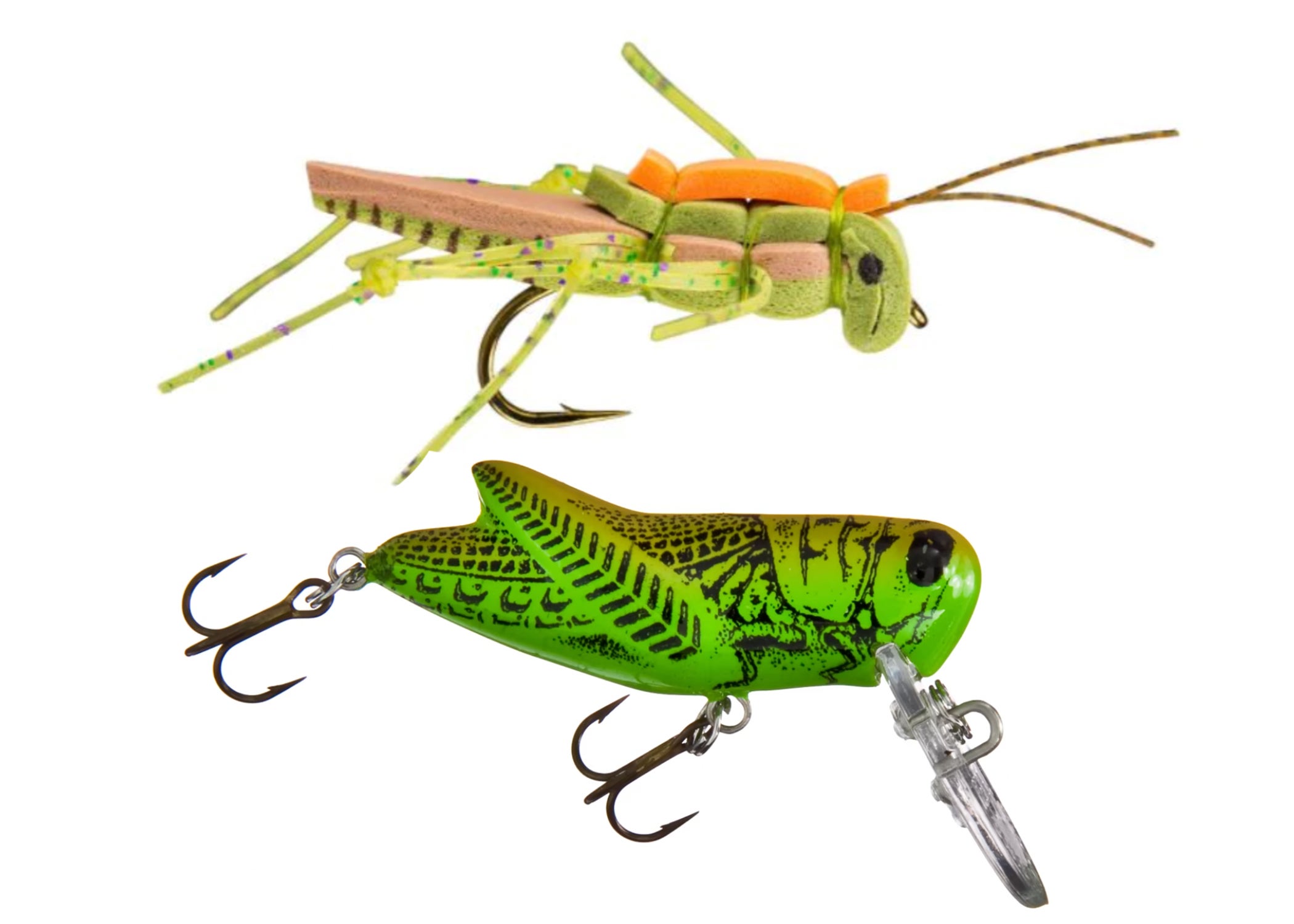 photo of grasshopper fly and lure