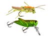 photo of grasshopper fly and lure