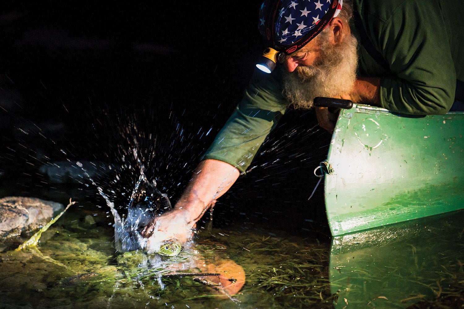 man wearing headlamp grabs frog in water