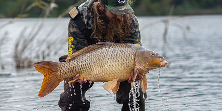 How to Catch Carp: If You’re Not Targeting This Overlooked Game Fish, You’re Missing Out