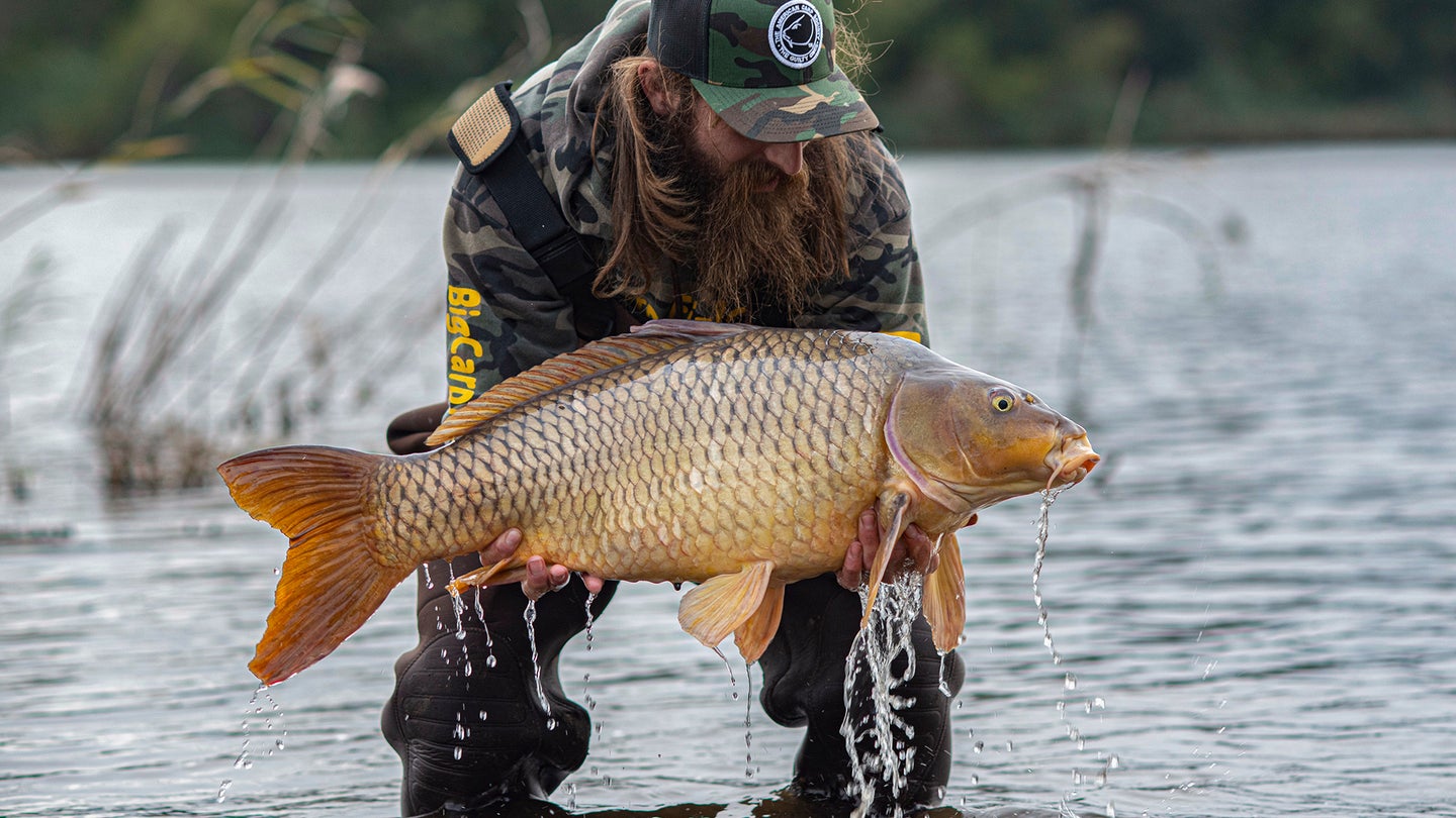 How to Catch Carp: If You’re Not Targeting This Overlooked Game Fish, You’re Missing Out