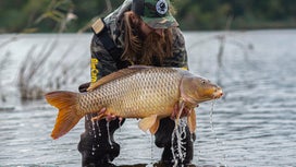 How to Catch Carp: Don’t Miss Out on this Overlooked Game Fish