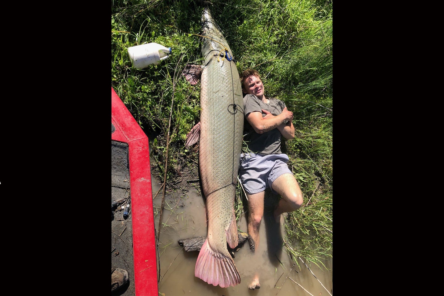 Texas has a statewide bag limit of just one alligator gar per day. 