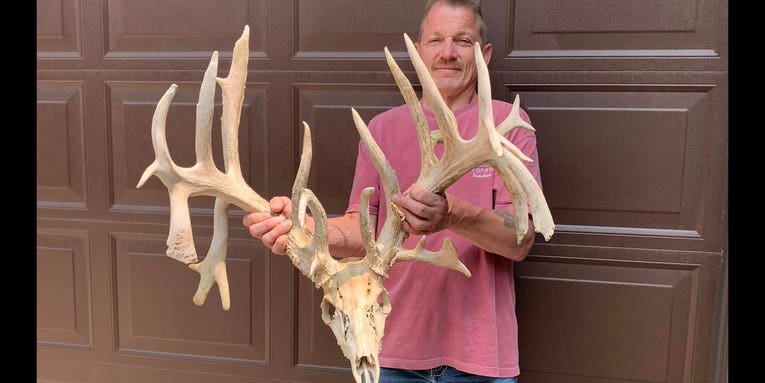 Massive Deadhead Is Poised to Become Minnesota’s New State Record Nontypical Whitetail