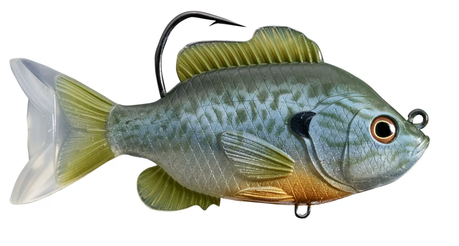 Photo of Sunfish Swimbait for what bass eat