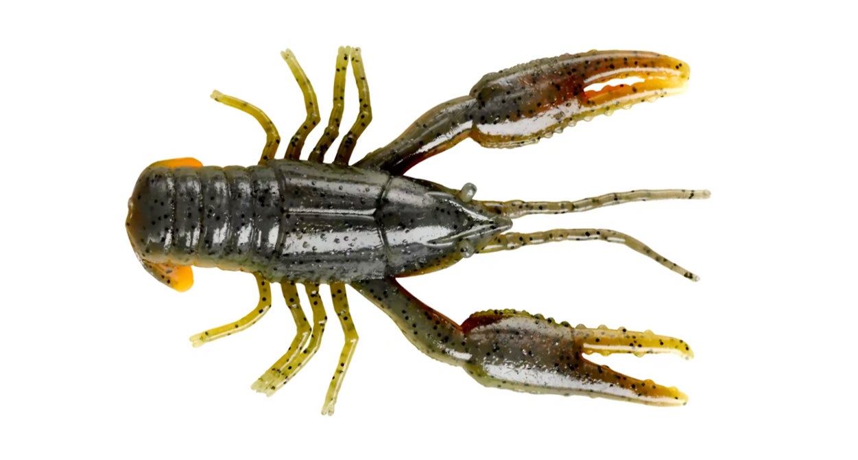 photo of crayfish lure