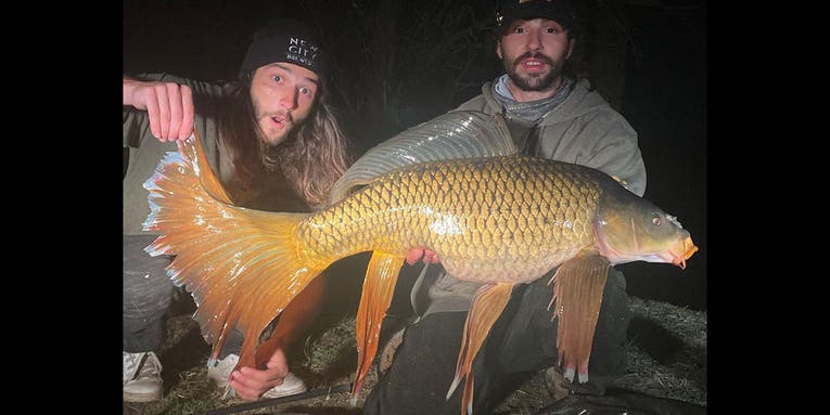 Massachusetts Angler Catches Incredibly Long-Finned Fantail Carp