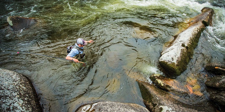 Why Pocket Water Is the Coolest Place to Catch Summer Trout