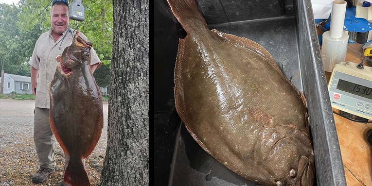 Connecticut Angler Catches Massive State Record Summer Flounder