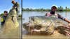 wels catfish with anglers