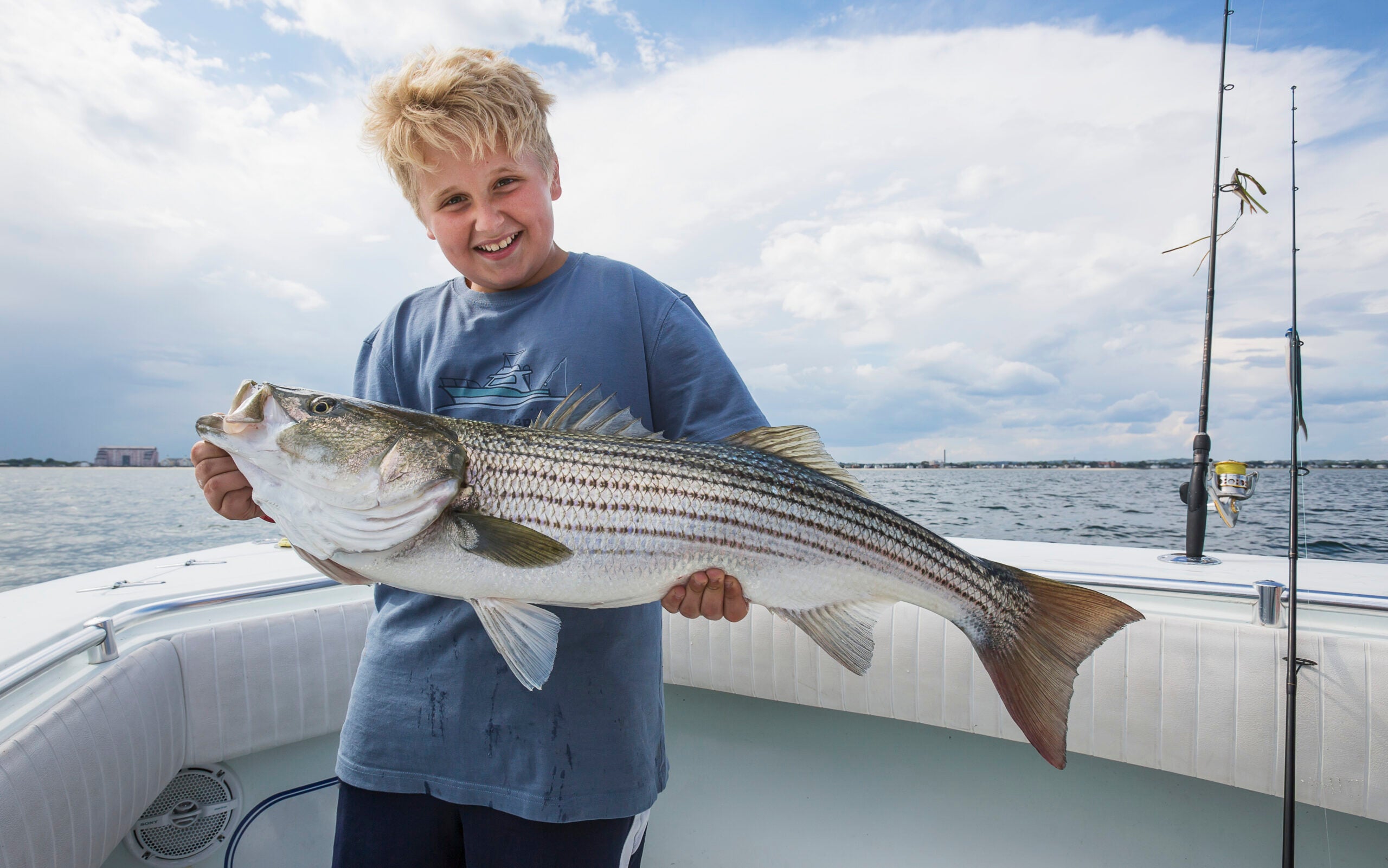 photo of a striped bass