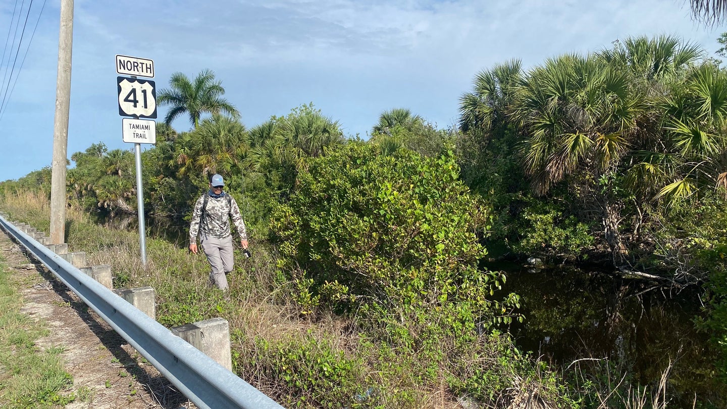 fly fishing on Florida's tamiami trail
