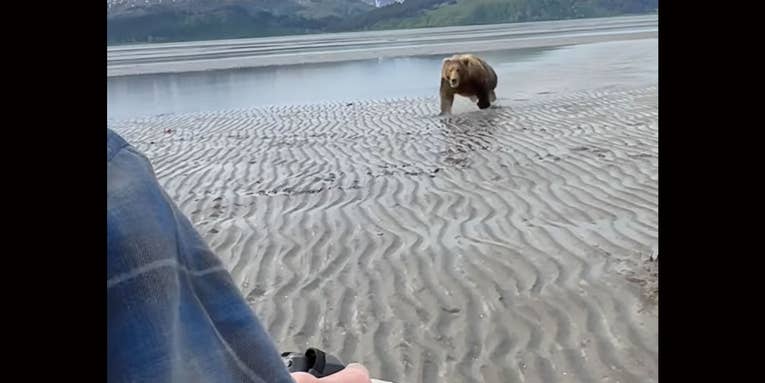 Watch a Massive Brown Bear Charge a Group of Tourists in Alaska