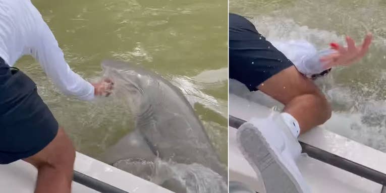 Watch: Shark Attacks and Pulls Angler Overboard in Florida Everglades