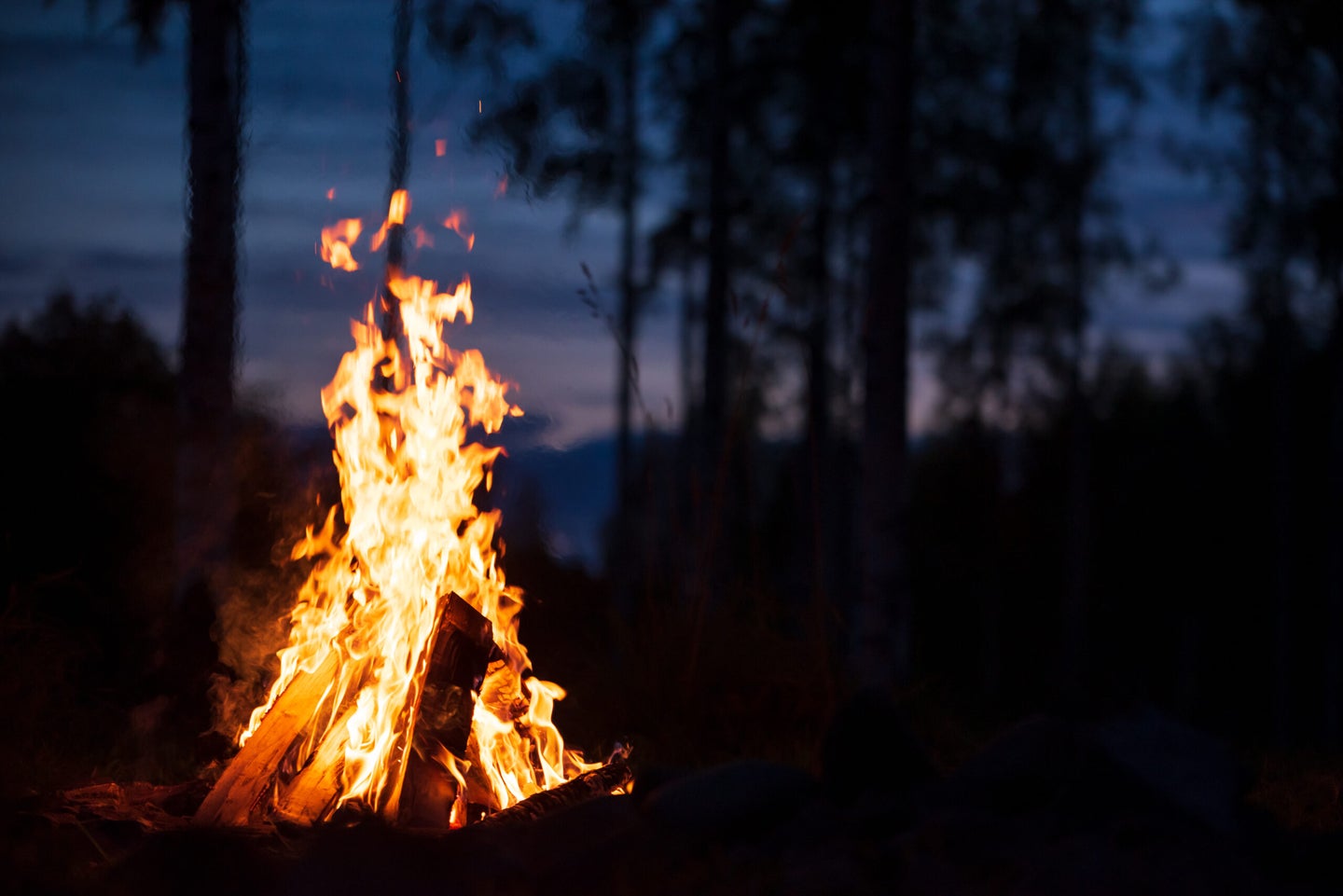 learn how to start a fire without a lighter in the woods
