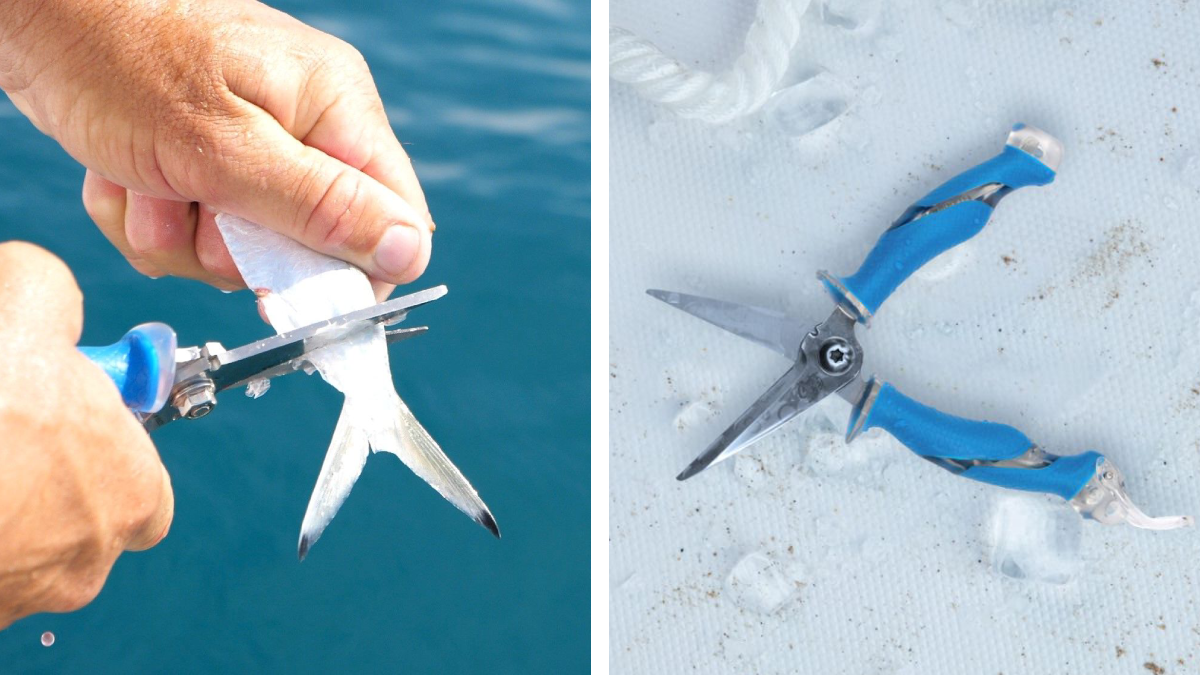 Cuda 8-Inch Fishing Scissors