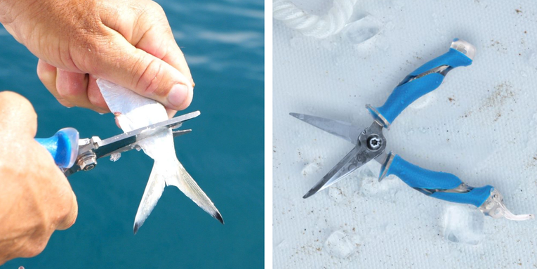 These Fishing Scissors Can Cut Through Almost Anything—And They’re Just $18 Right Now