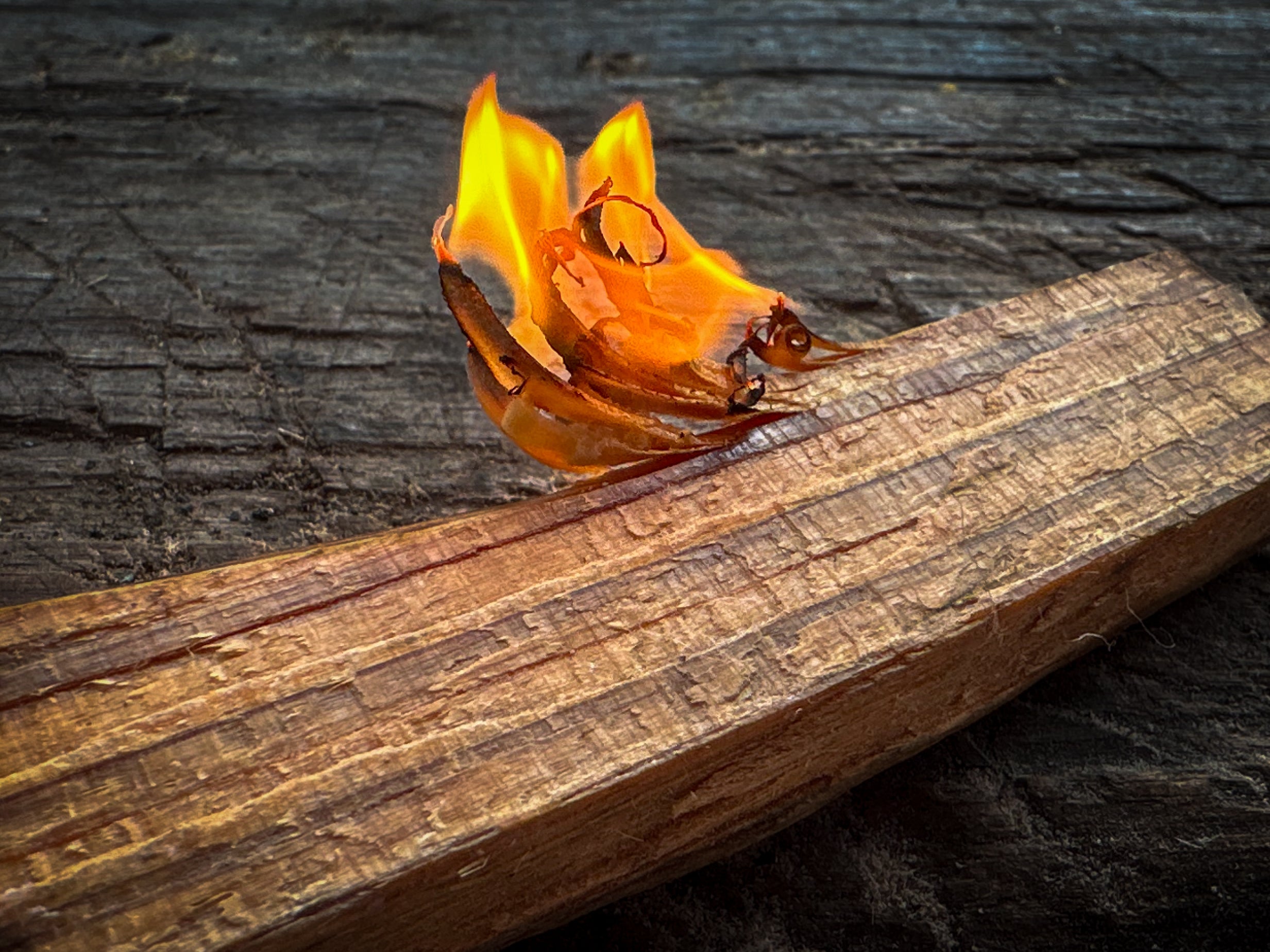 A small flame burns on a section of cedar wood