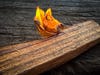 A small flame burns on a section of cedar wood
