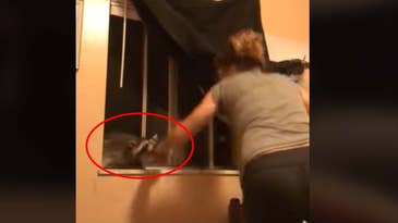 Watch a Raccoon Chomp on a Woman Trying to Usher Its Kits Out of Her Bedroom