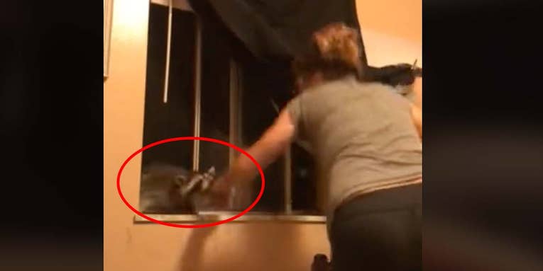 Watch a Raccoon Chomp on a Woman Trying to Usher Its Kits Out of Her Bedroom