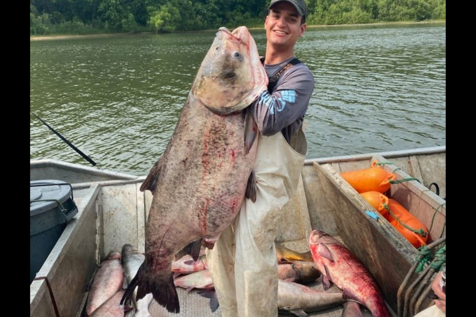 Fisherman Nets Giant 100-plus Pound Carp