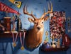 kid's bedroom with sports memorabilia, trophies, toy figurines and a whitetail deer mount